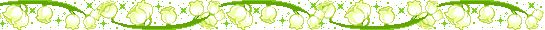 lily div