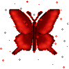 red butterfly