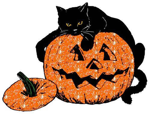 Sparkly halloween kitty