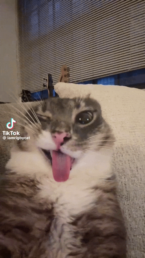 IMG_5977.gif