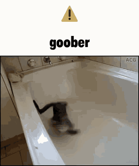 IMG_6407.gif