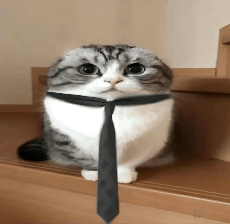 attachment.gif