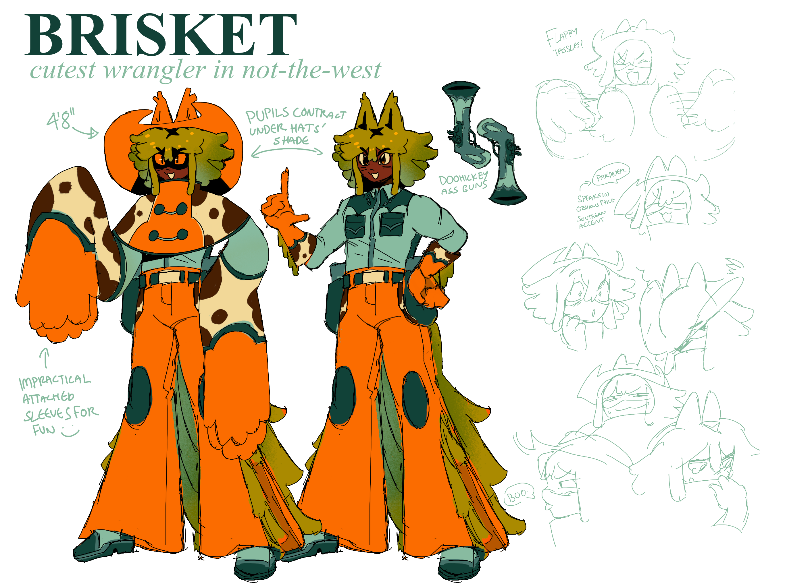 A reference image of Brisket.