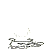 [Image: placeholder12.png]