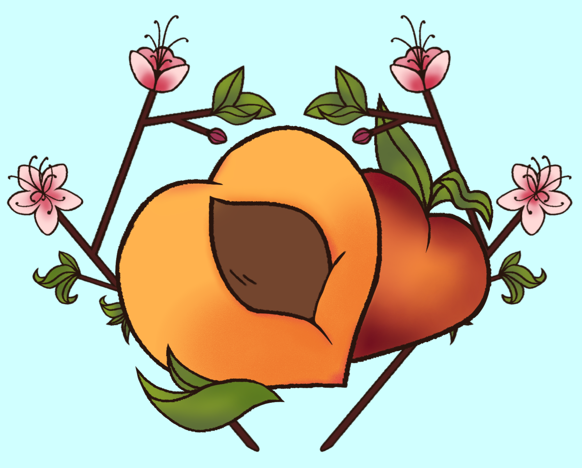Peaches and peach blossoms in the shape of a heart.