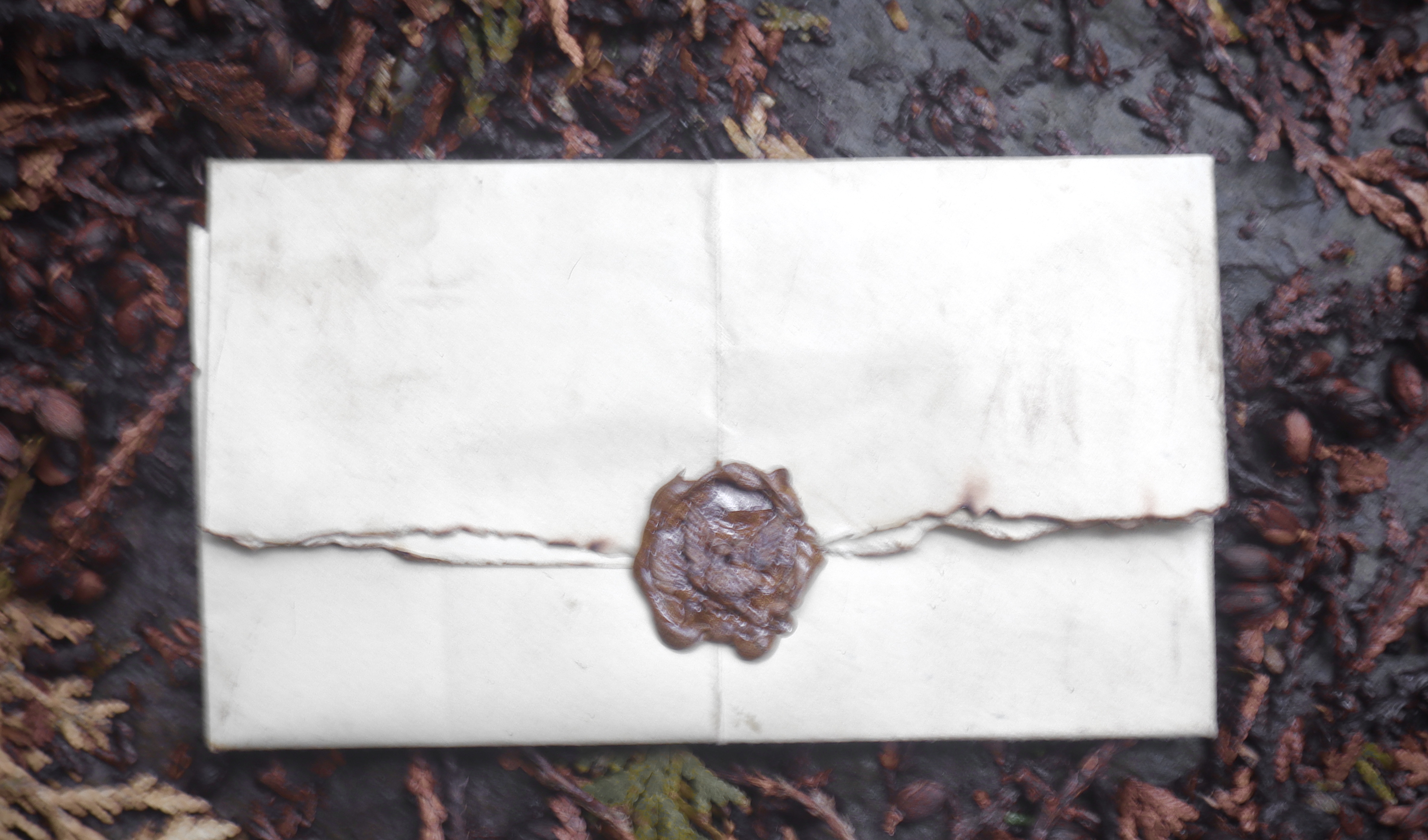 An unopened letter, with a gold wax seal. The seal has a bird on it, and the letter appears to be very old.
