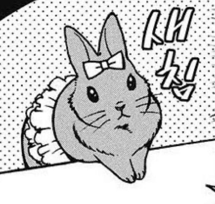 fuck my stupid niche life