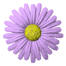 An Endrance Icon
