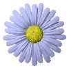 An Endrance Icon