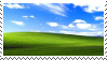 windows xp bg