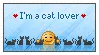 im a cat lover