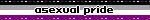 'asexual pride' with the asexual flag behind it