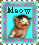 'Meow' with a kitten below