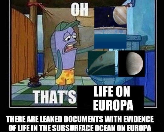 Oh... thats life on Europa