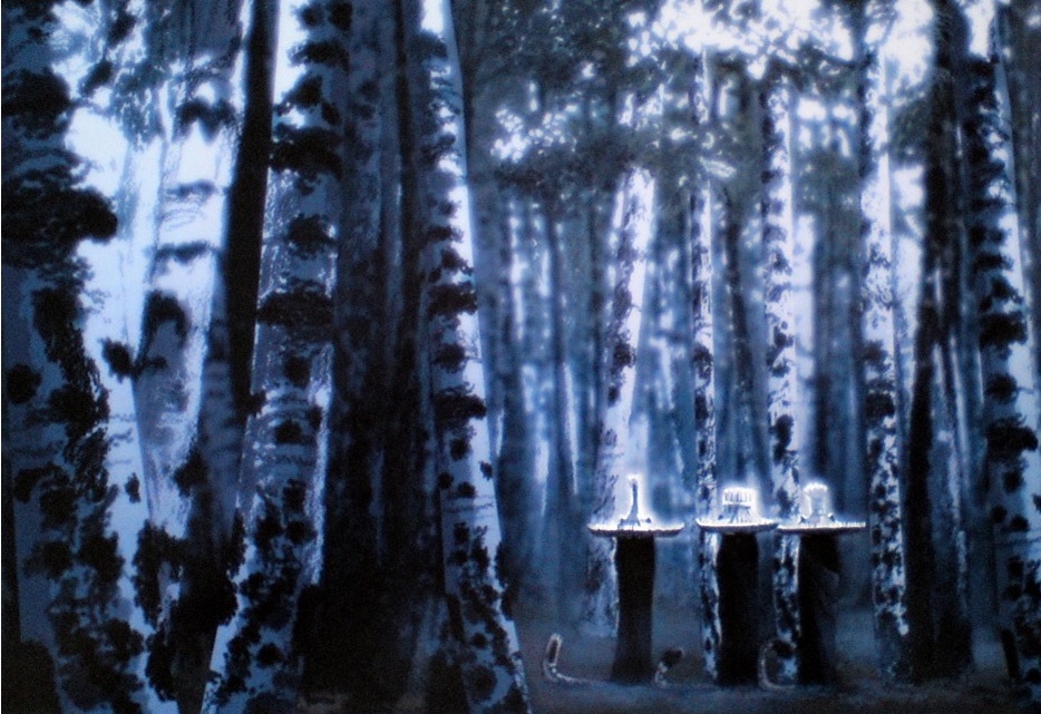 Birch Forest