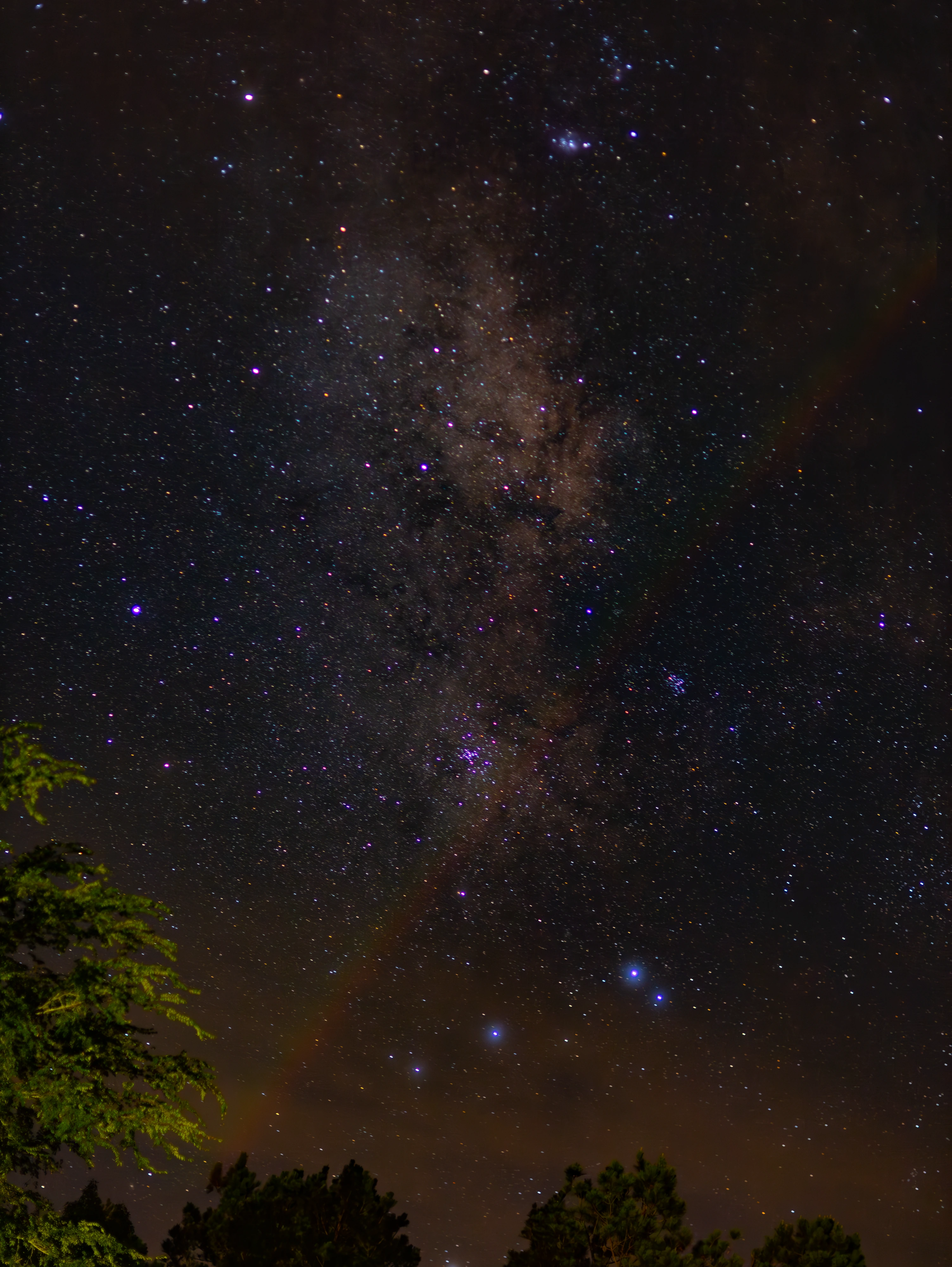 Bright galactic core framed by leaves at night