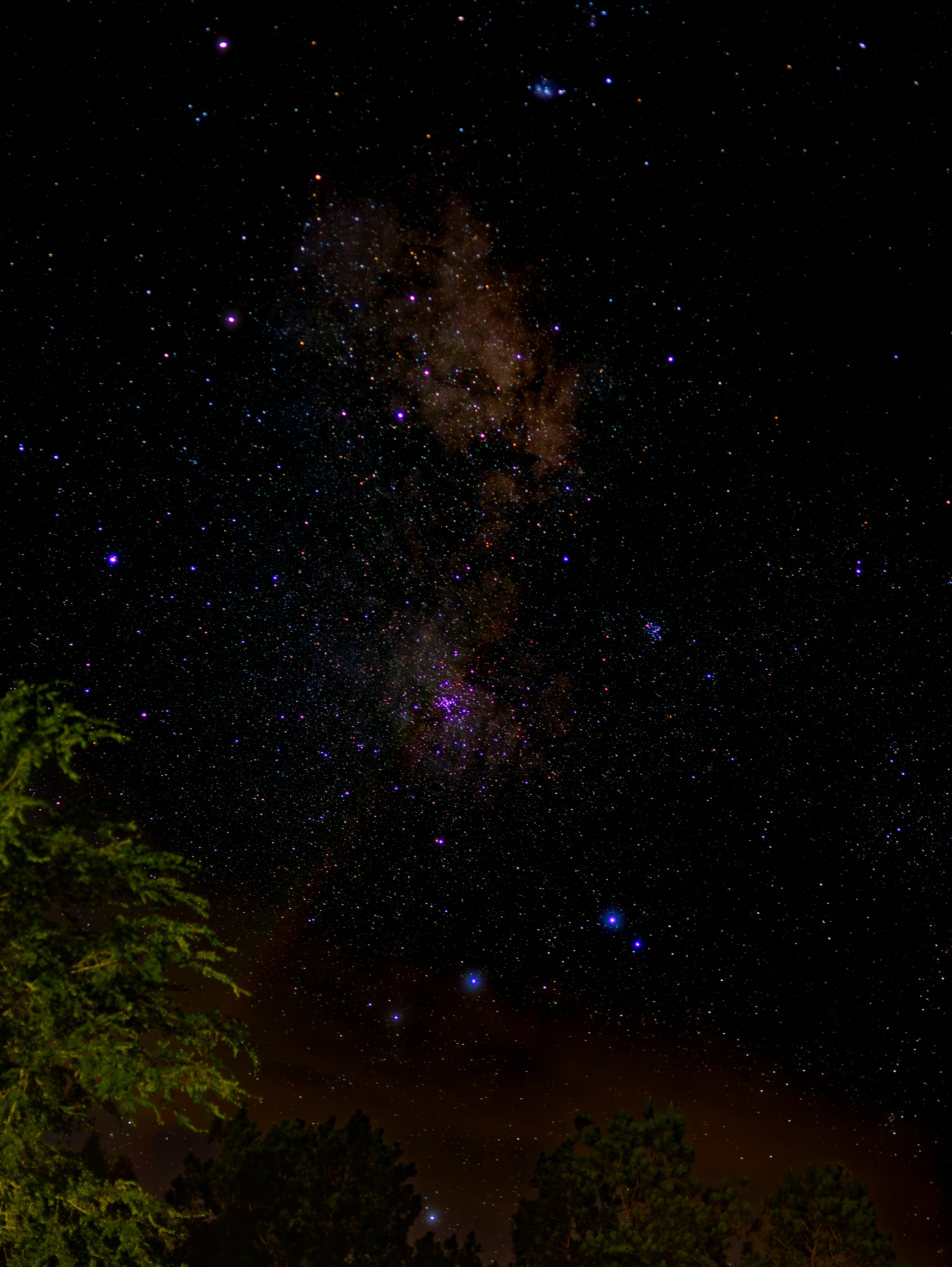 Star-filled sky and Milky Way framed by foliage