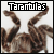 tarantula fanlisting