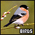 birds fanlisting
