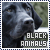 black animals fanlisting