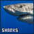 sharks fanlisting