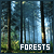 forests fanlisting