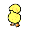 a duckling waddling away