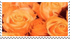 81631126_sY6prC9zwyzEGlz.png
