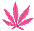rotating pink marijuana leaf