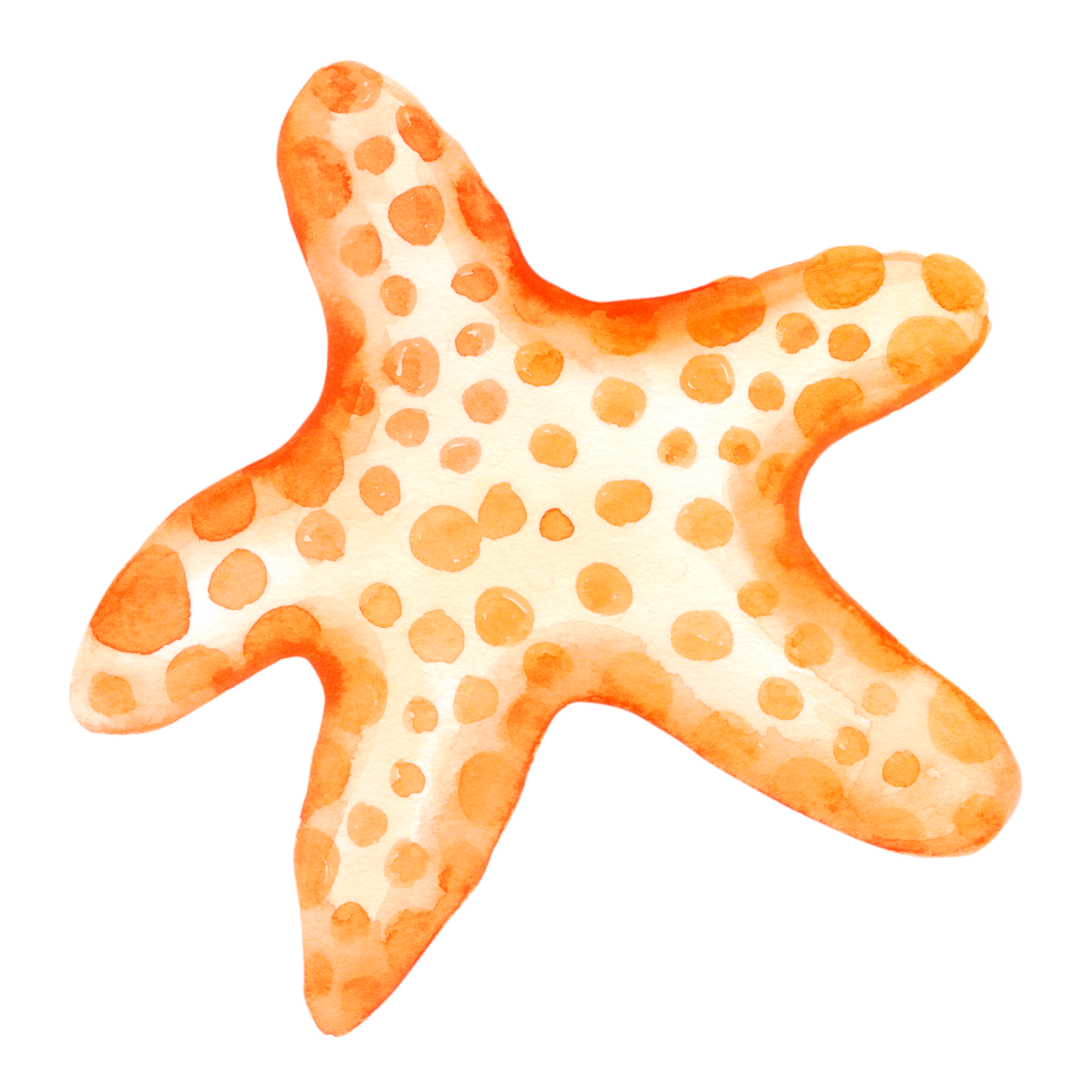 starfish