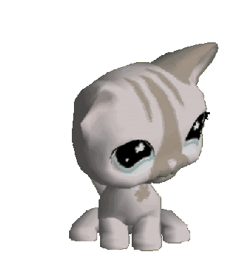 A cute cat