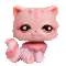 A cute cat