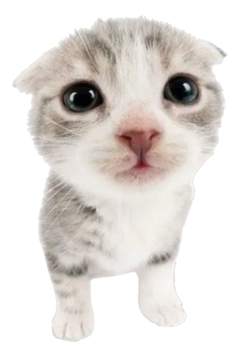 pixel