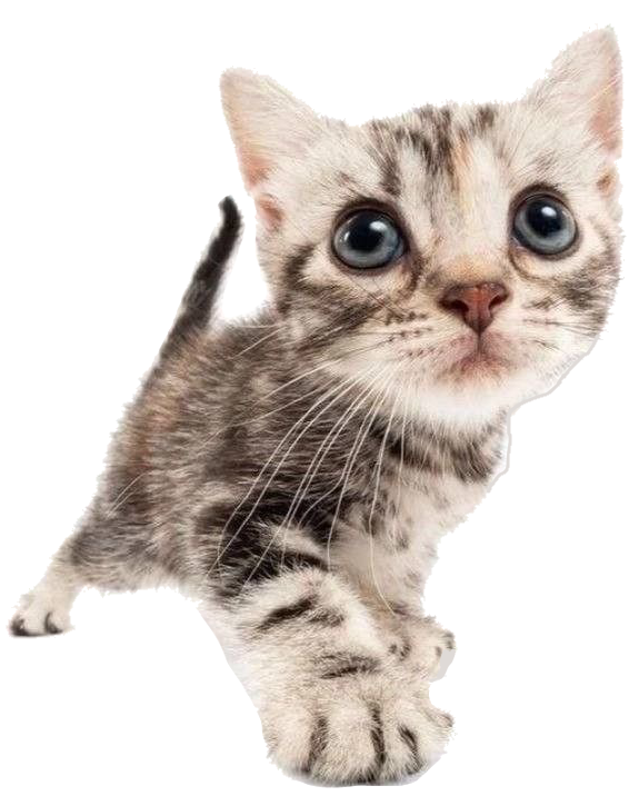 pixel