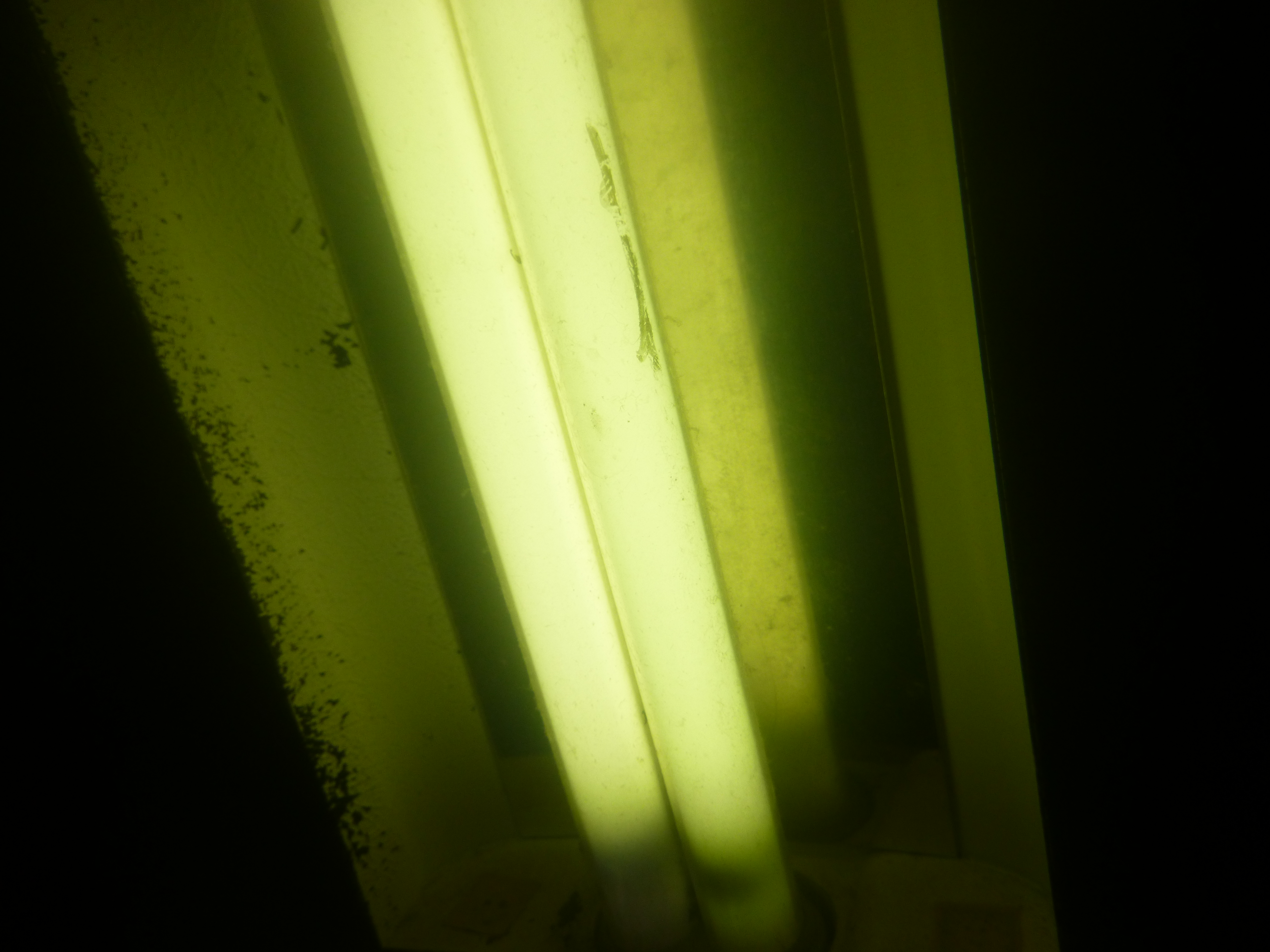Close up of a fluorescent lightbulb