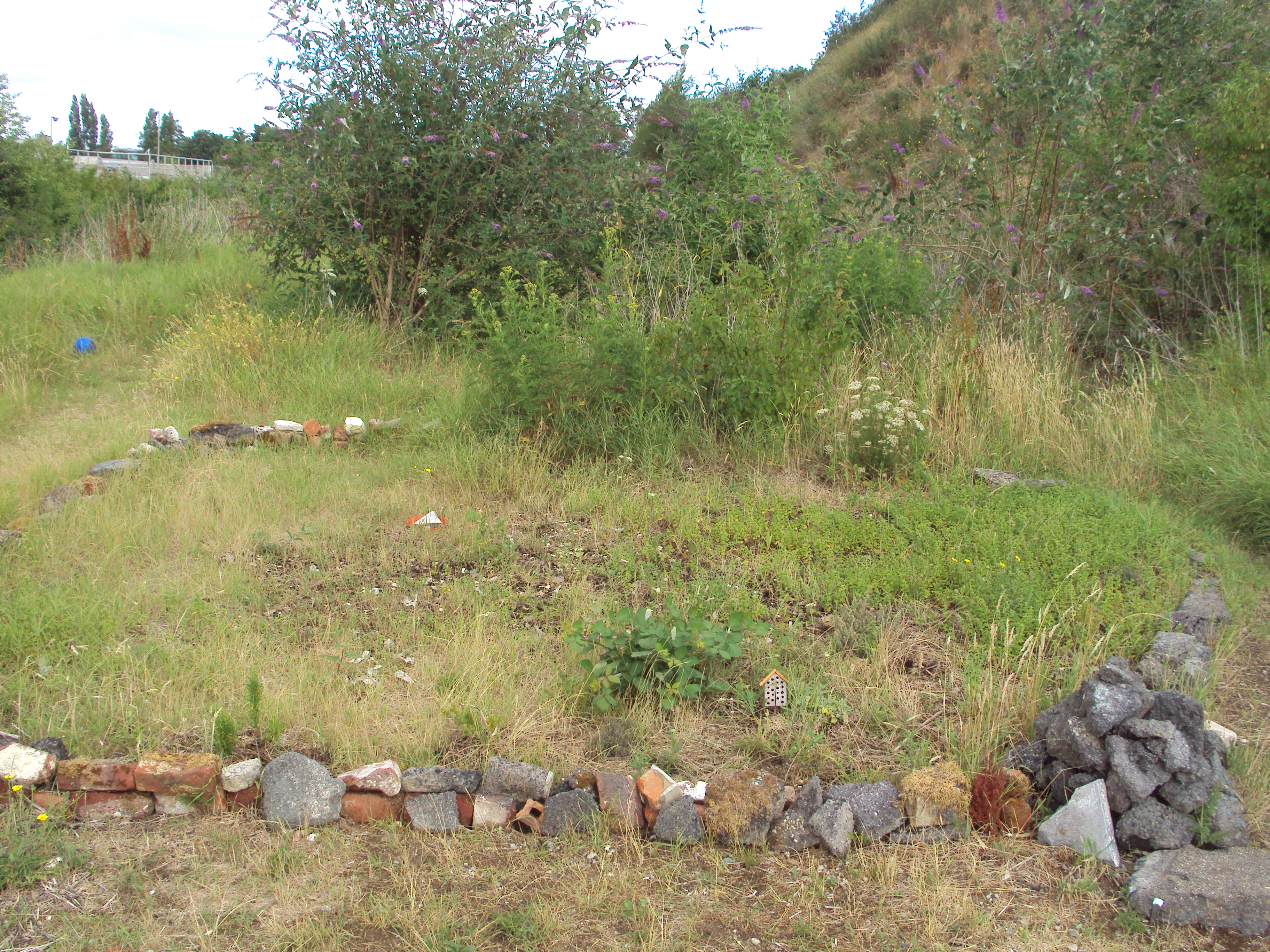 jardin clandestin elimité par une bordure de pierres et briques trouvées a proimité