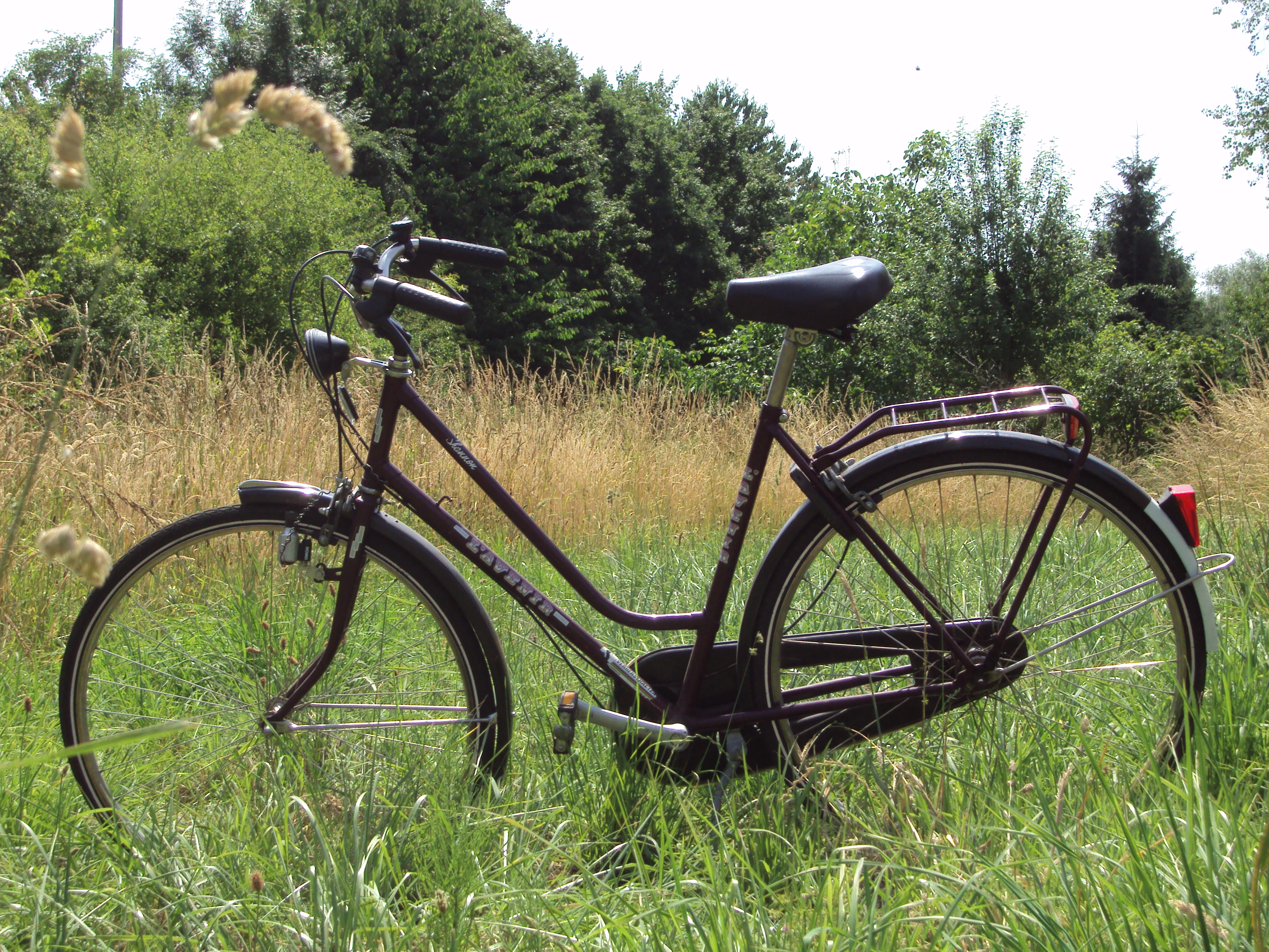 photo d'un velo mauve bordeaux dans l'herbe