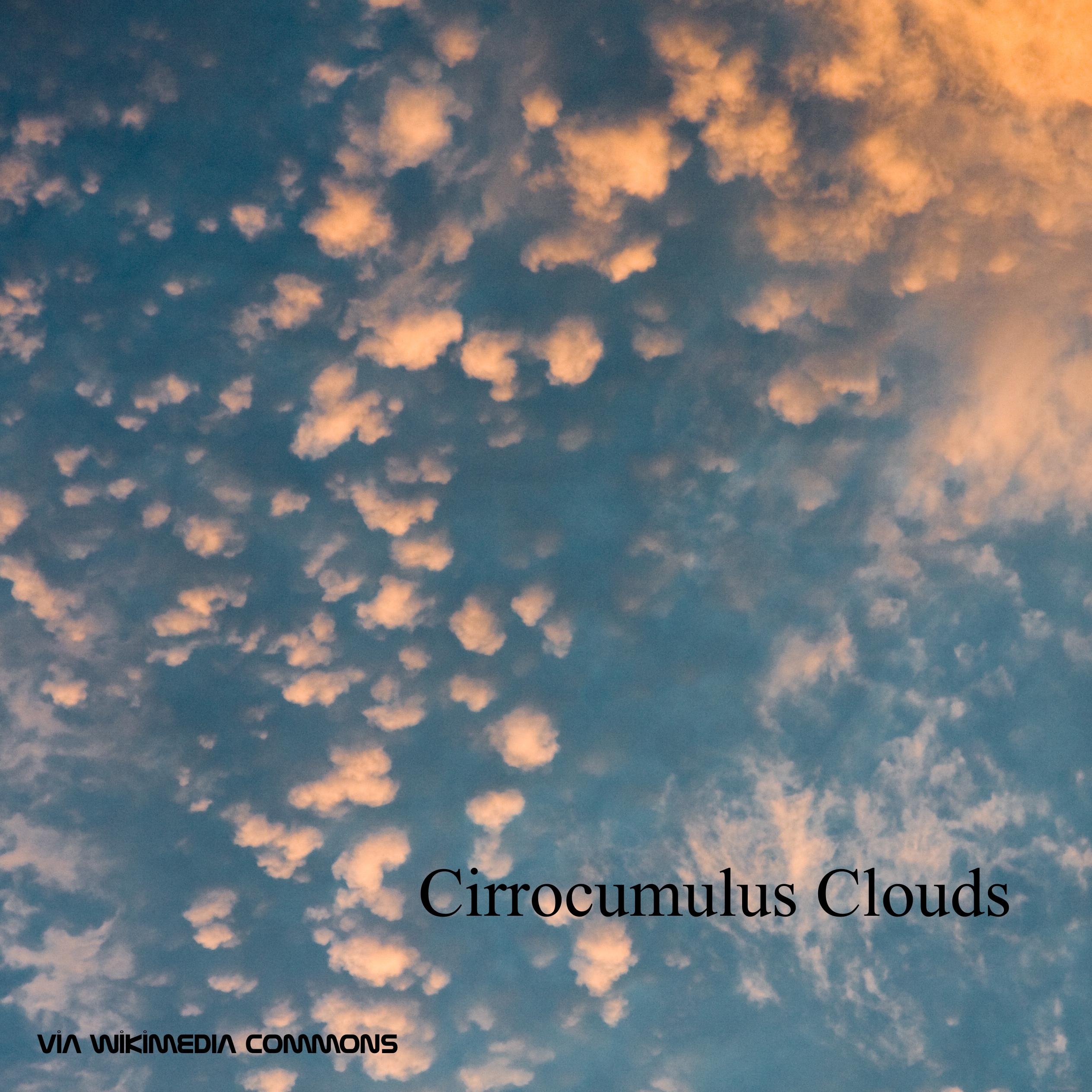 Cirrocumulus