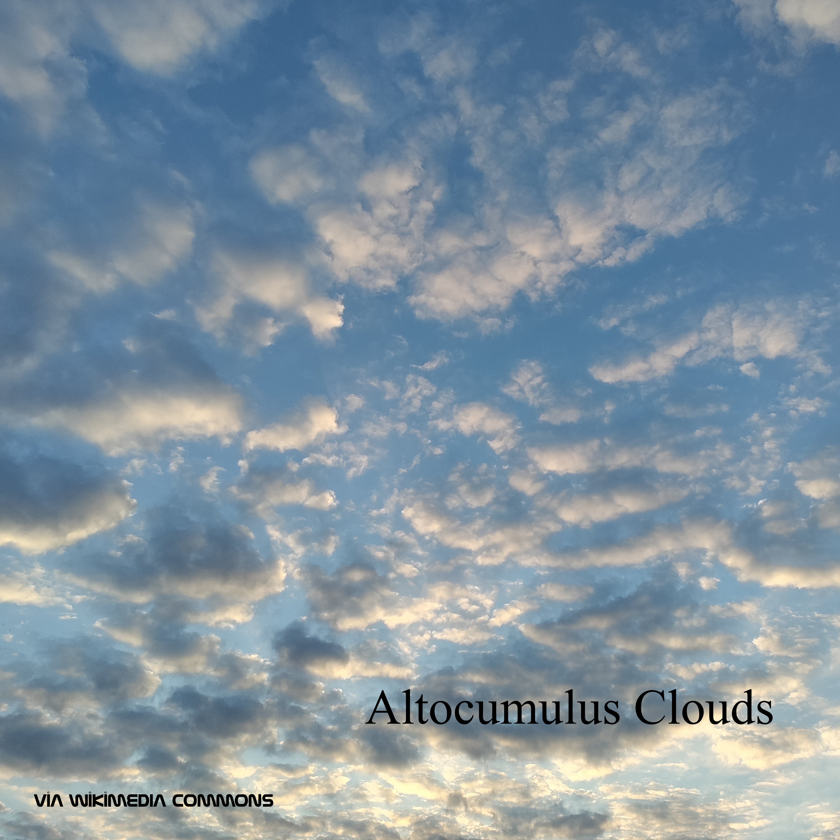 Altocumulus