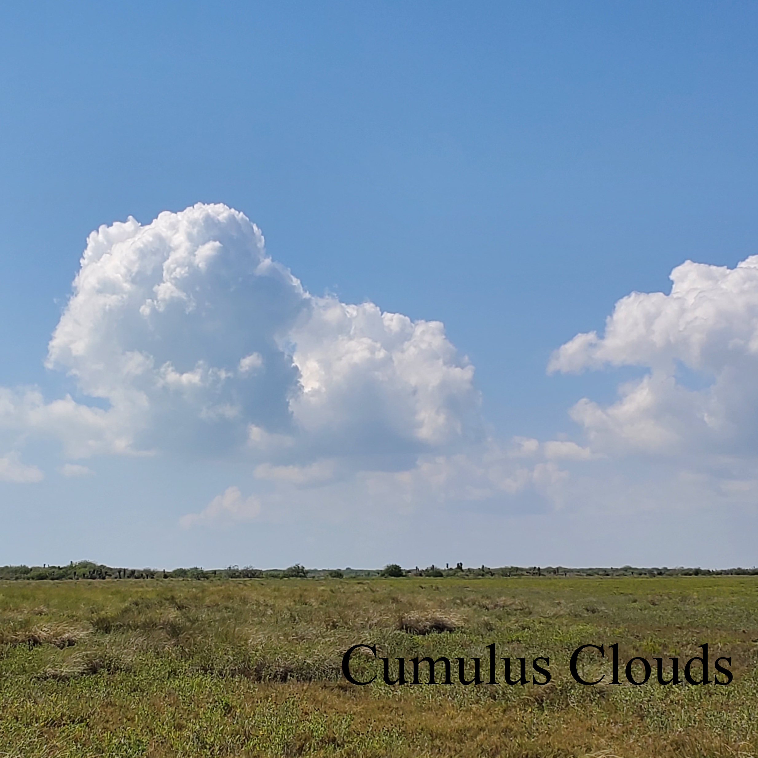 Cumulus
