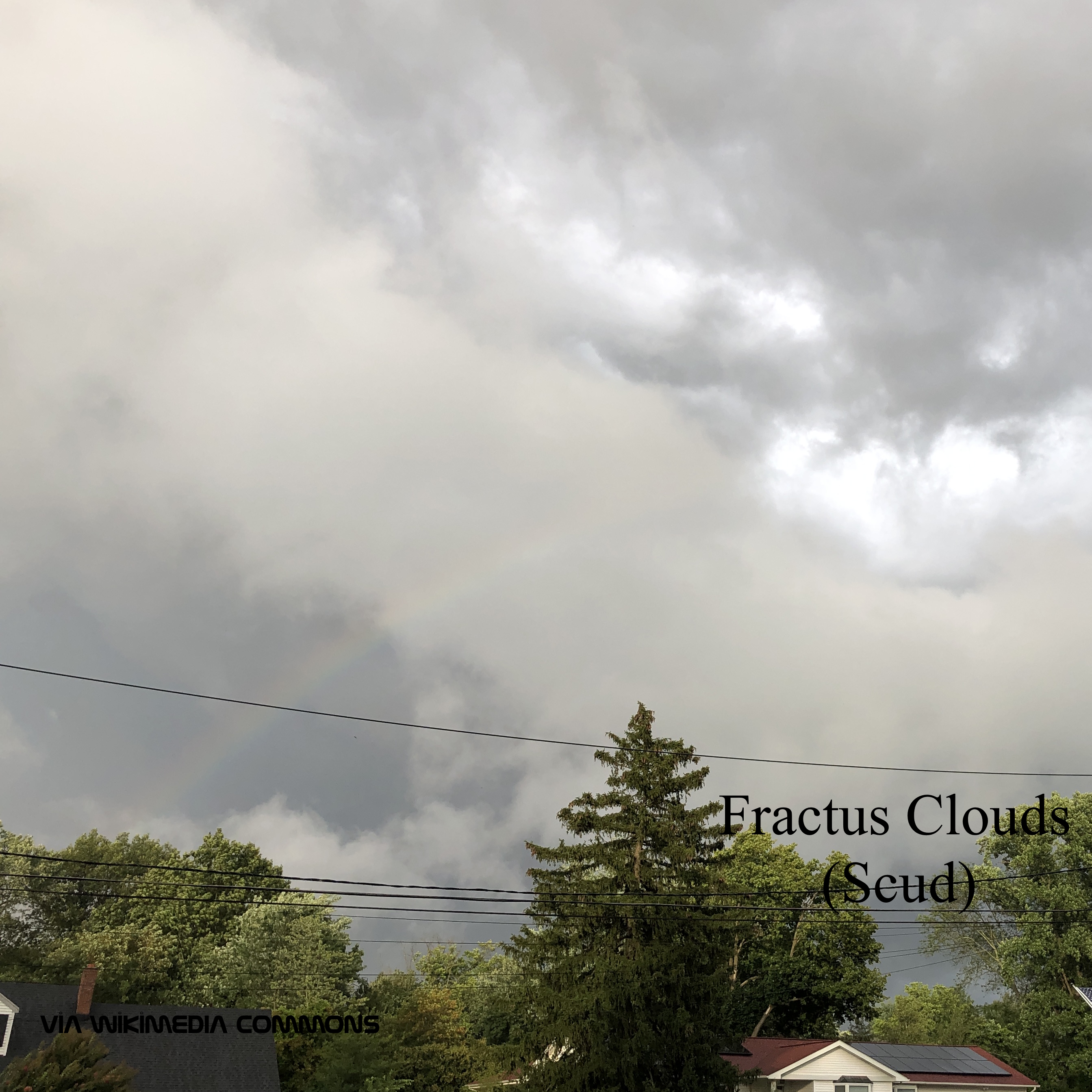 Fractus