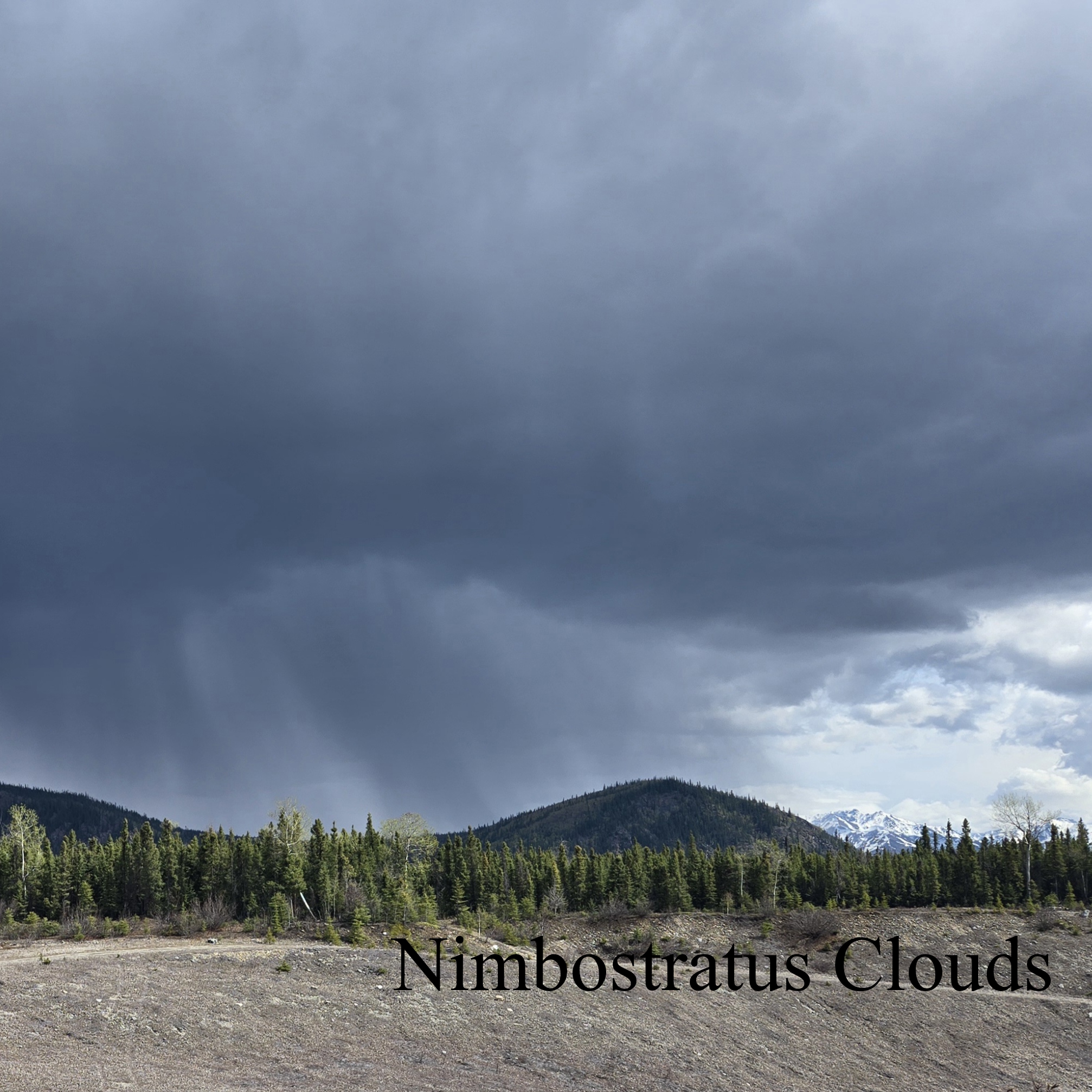 Nimbostratus