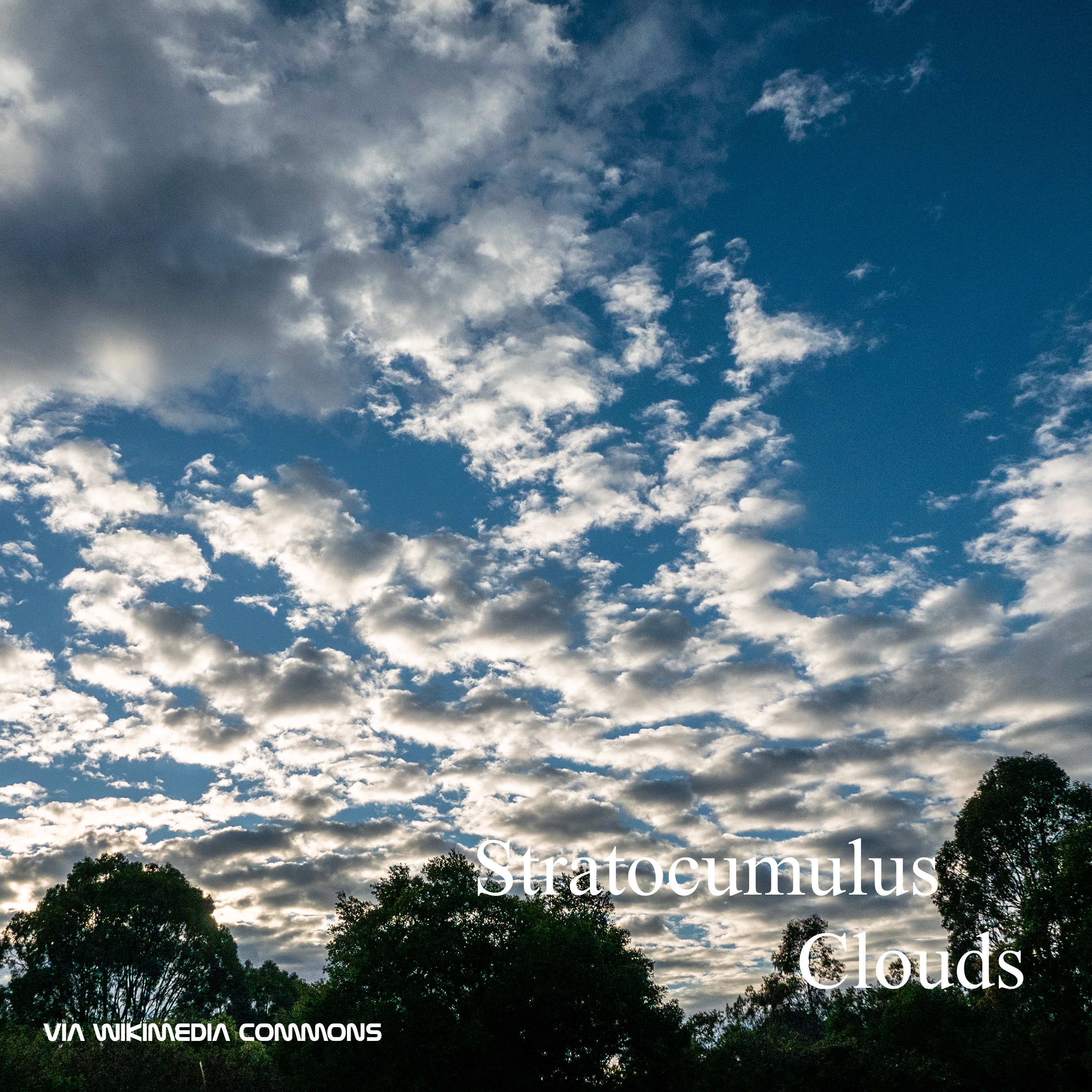 Stratocumulus