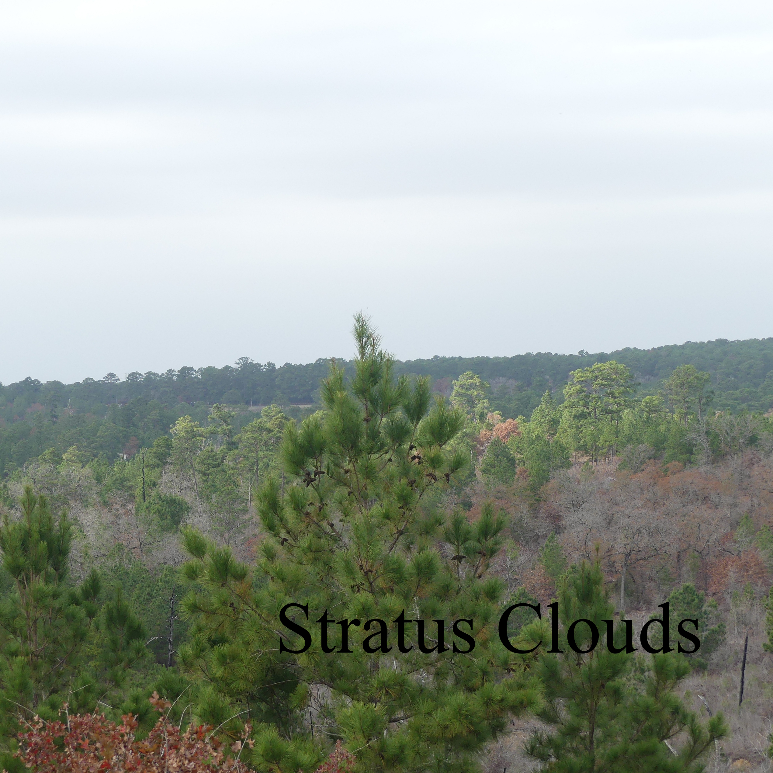 Stratus
