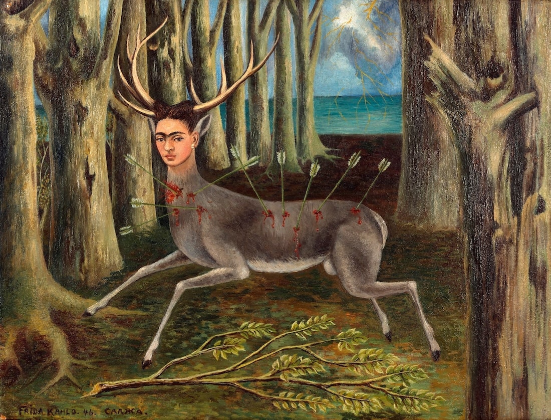wounded deer