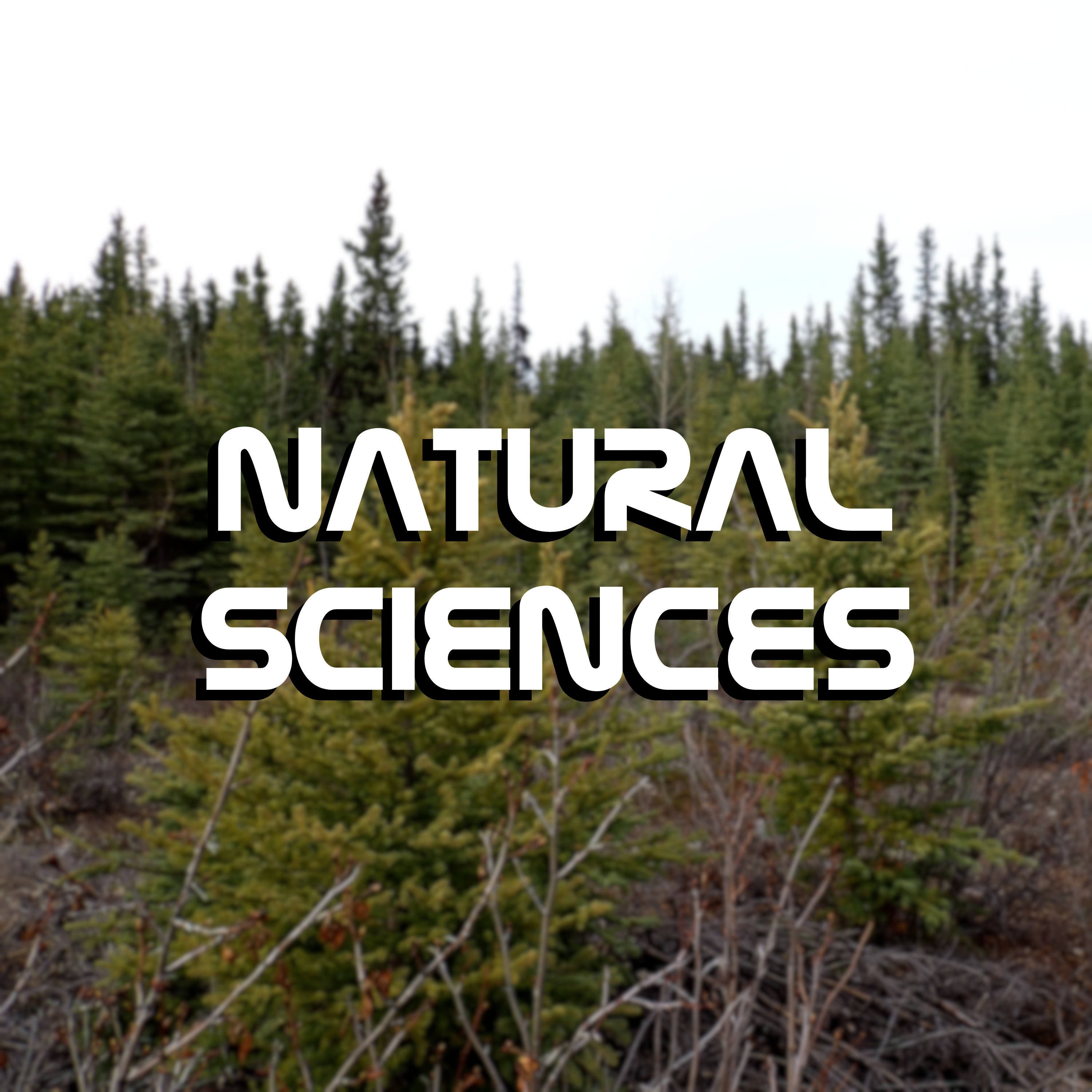 natural sciences