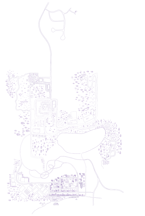 Giant Map