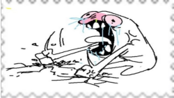 stamp