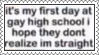 staighthighsklstamp