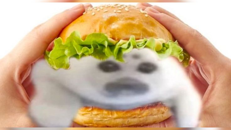 sealburger.jpg